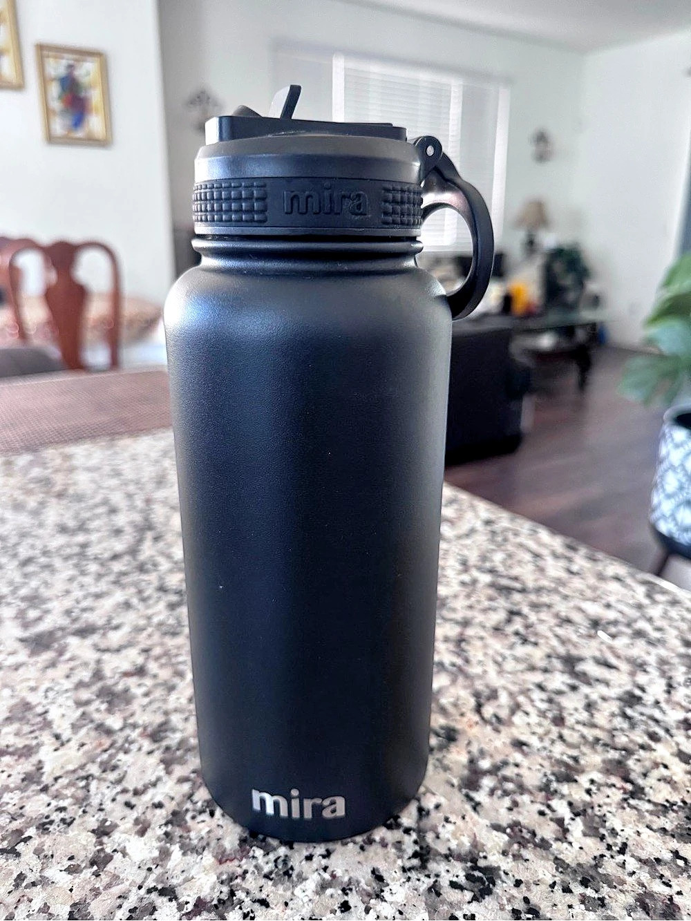 Mira 32 oz Insulated Stainless Steel Water Bottle with Straw Lid, Black
